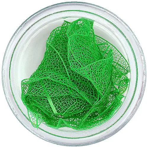 Tmavozelené lístky na nechty - sušené