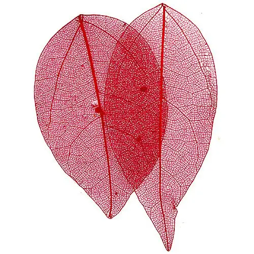 Sušené lístky - červené