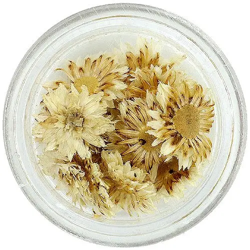 Biele kvety na nechty - sušené