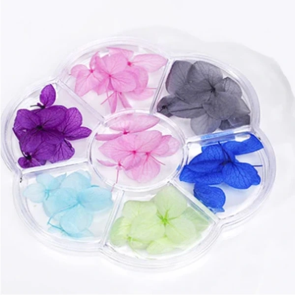 Sušené kvety - ozdobná sada na nechty