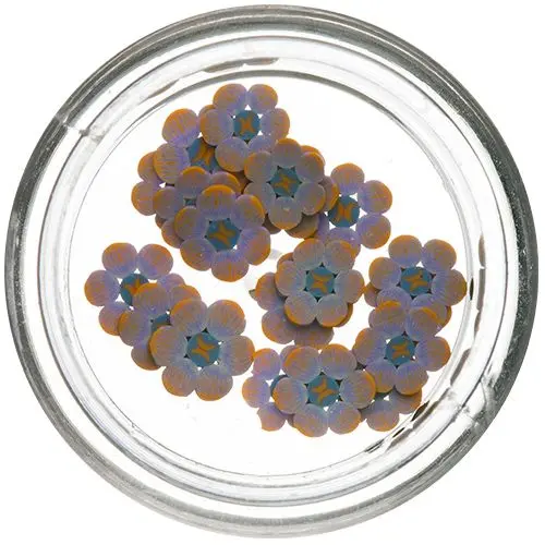 Fimo Nail Art - narezané kvietky