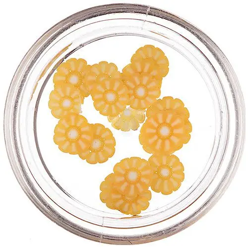 Narezaný pomaranč na zdobenie nechtov - oranžový